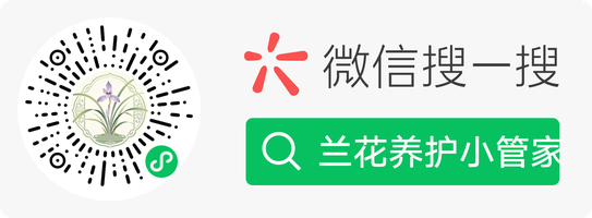 智兰微信小程序